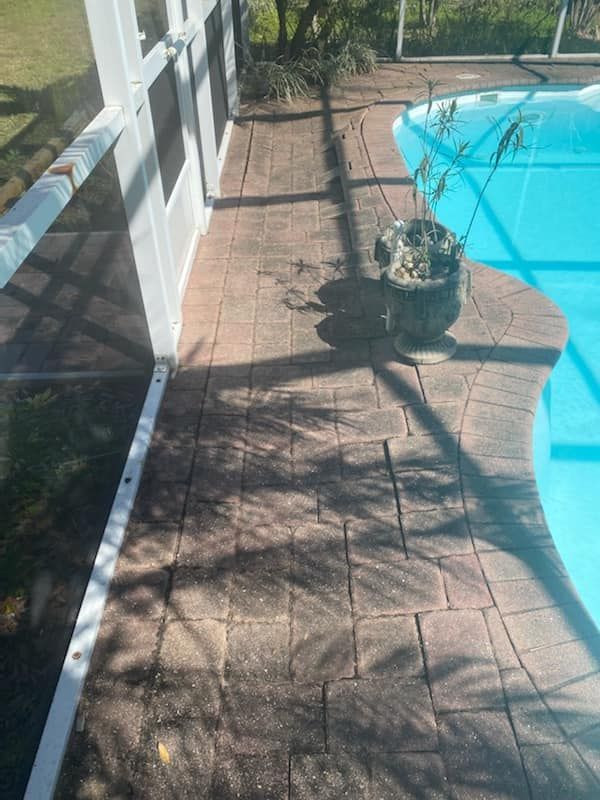 Poolside brick walkway with a potted plant beside a white fence and blue swimming pool