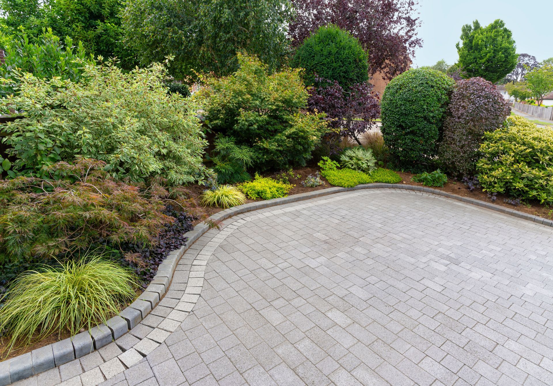 Curved paved driveway bordered by lush green shrubs and trees Curved paved driveway bordered by lush green shrubs and trees