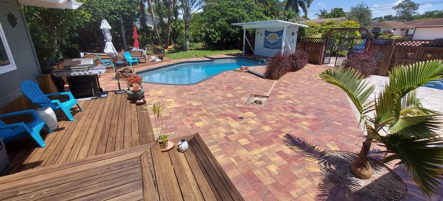 Backyard pool patio with blue lounge chairs, palm plants, and a small shed in bright sunlight