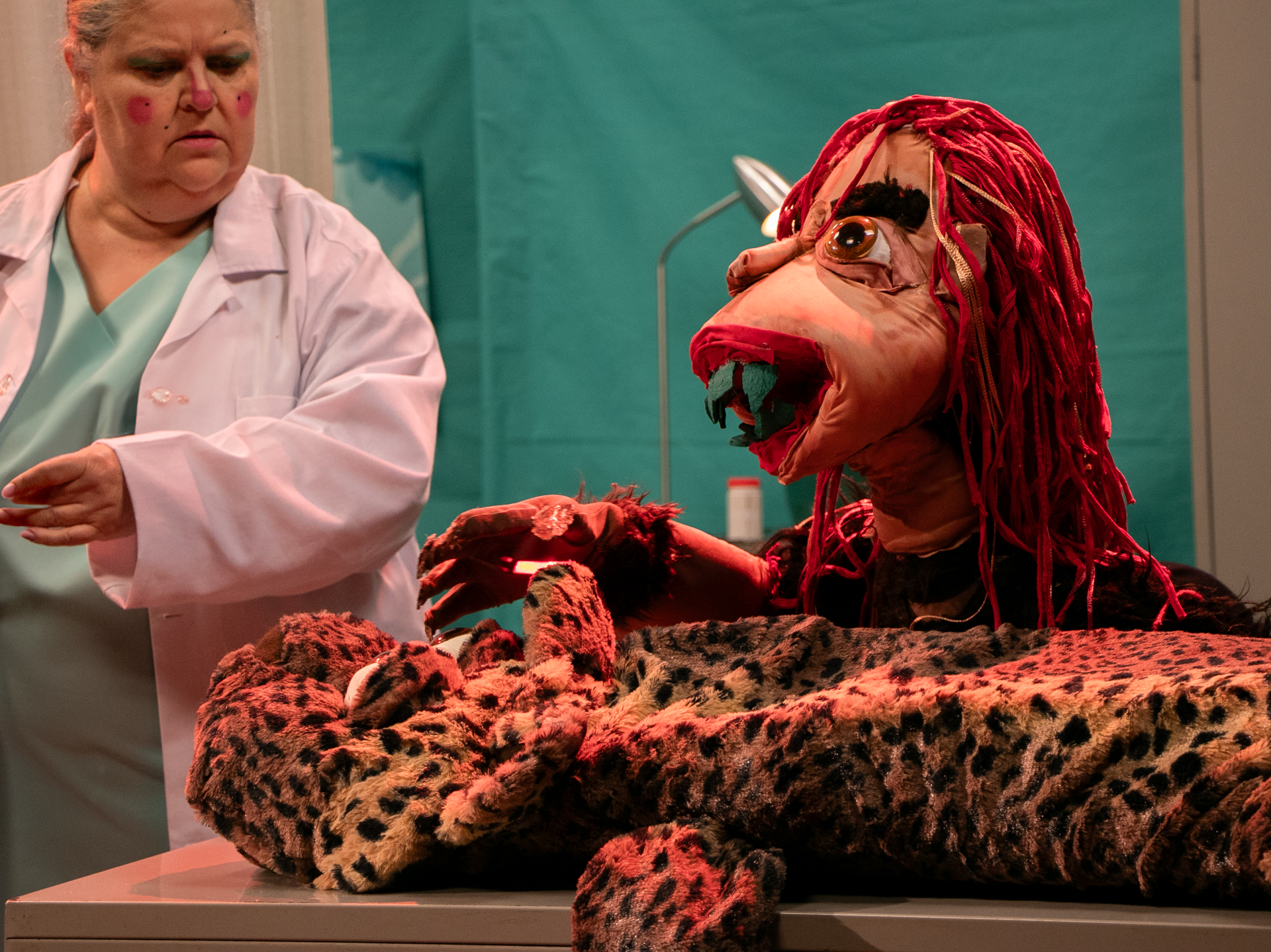 Curupira cuida da onça pintada na sala da veterinária 
