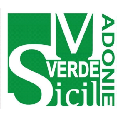 Logo per Dolciaria Floria srl; testo in caratteri marroni su una spruzzata di cioccolato liquido.