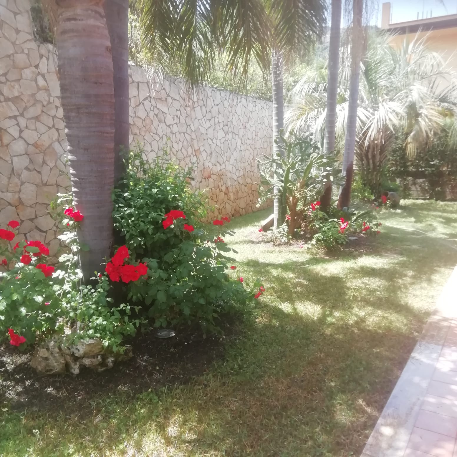 giardino