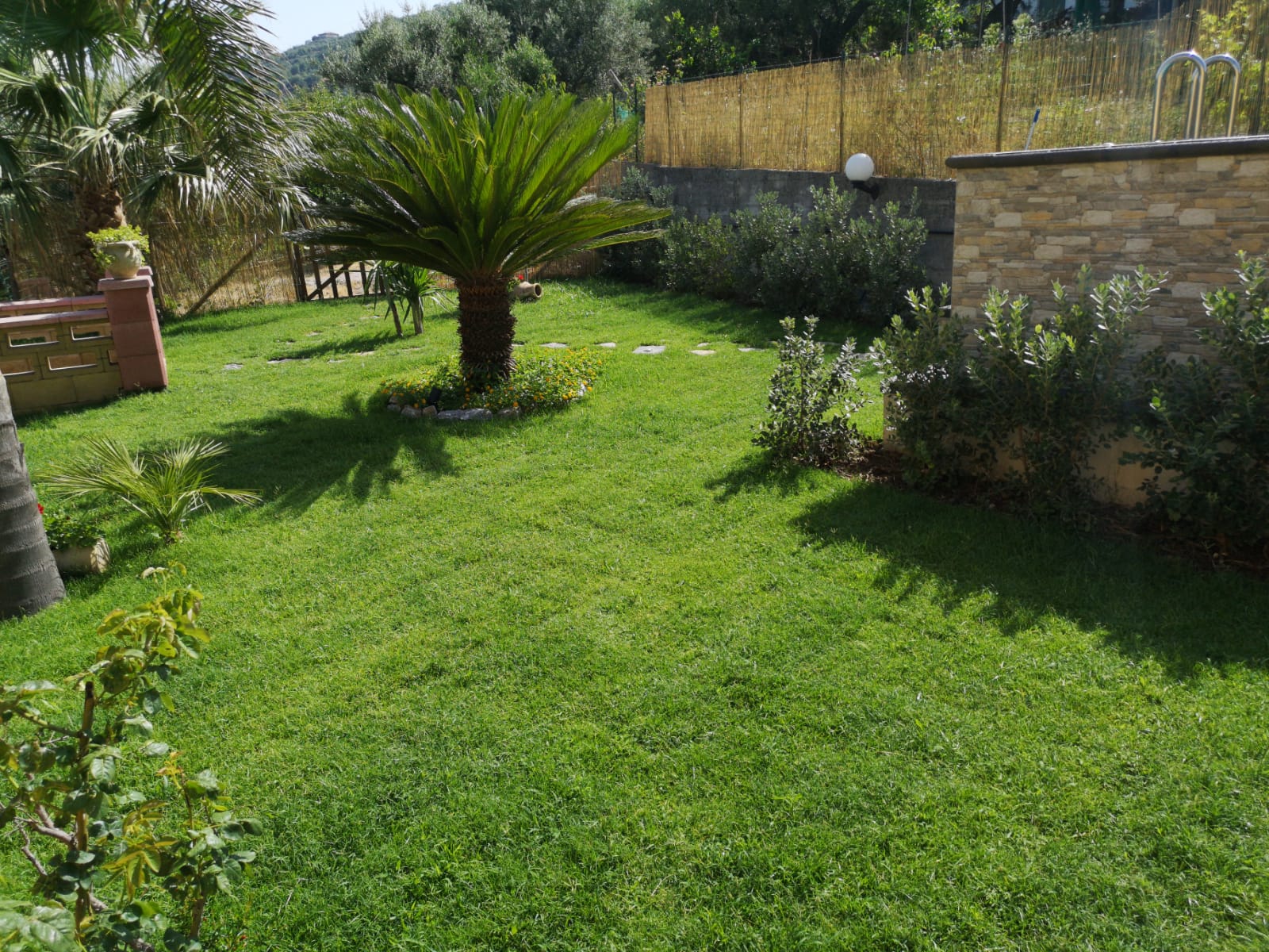 giardino