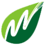 WESS CORPORATE SA DE CV