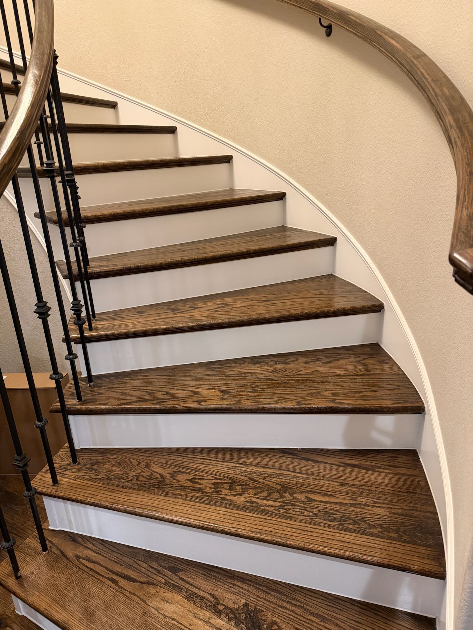 Curved indoor staircase with patterned carpet, white risers, and dark railings against beige walls