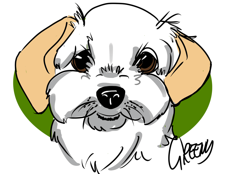 Drawing dogs at events, digital fun portraits of pooches by animal artist David Green