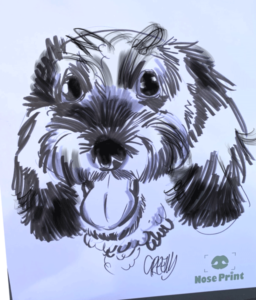 Pet portraits drawing realistic Dogs at live events.