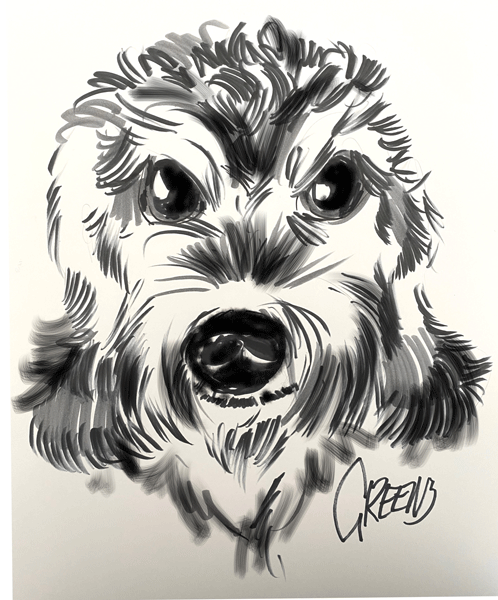 Pet portraits drawing realistic Dogs at live events.