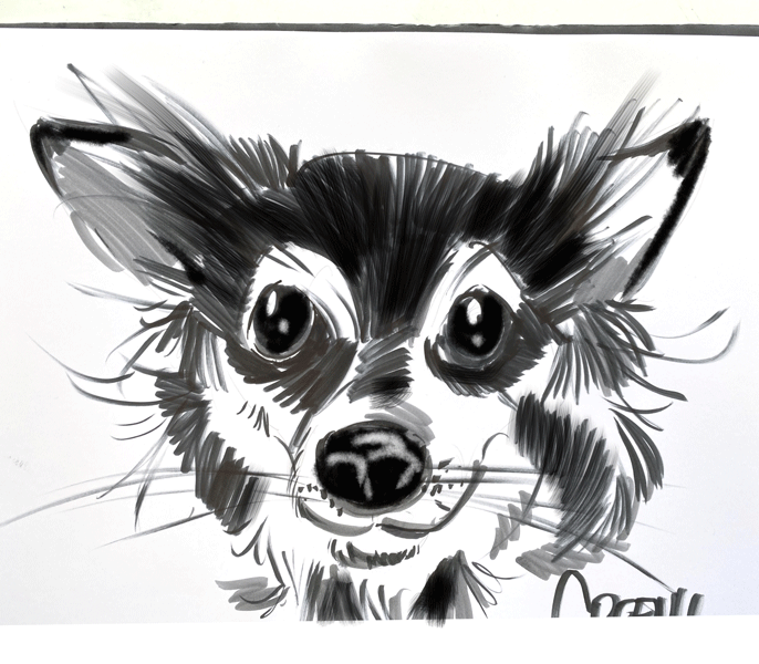 Pet portraits drawing realistic Dogs at live events.