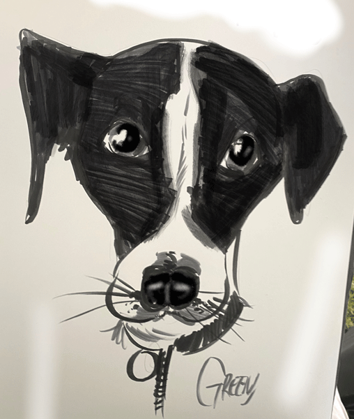 Pet portraits drawing realistic Dogs at live events.