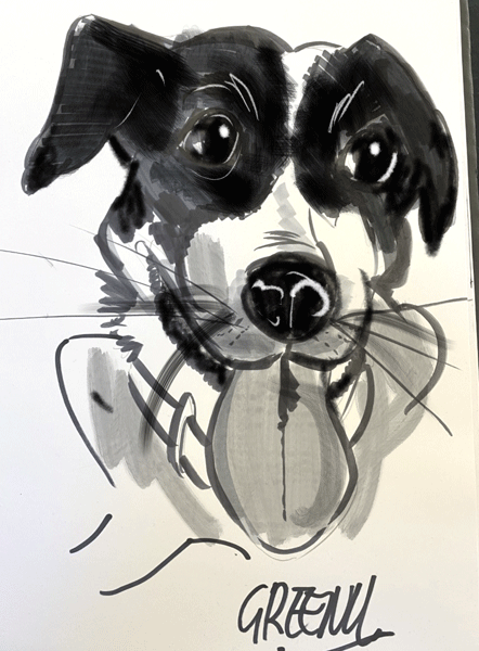 Pet portraits drawing realistic Dogs at live events.