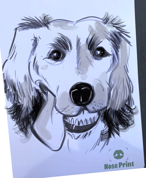 Pet portraits drawing realistic Dogs at live events.