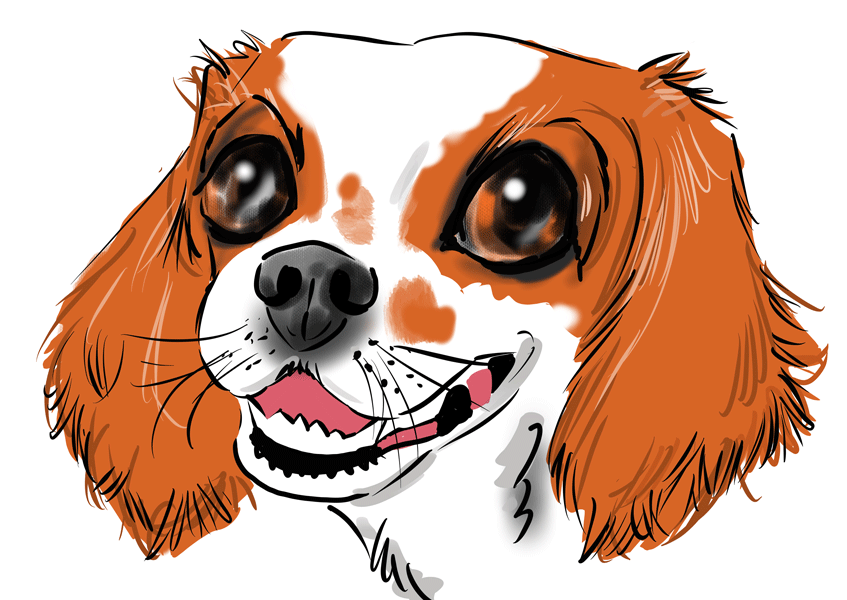 Drawing dogs at events, digital fun portraits of pooches by animal artist David Green