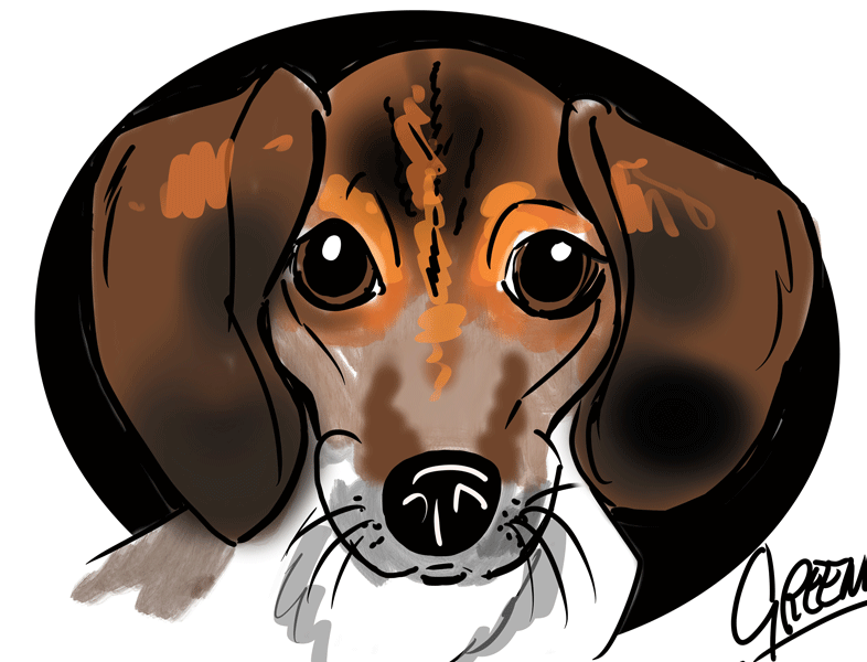 Dog digital drawings at events, live cartoon of pooches