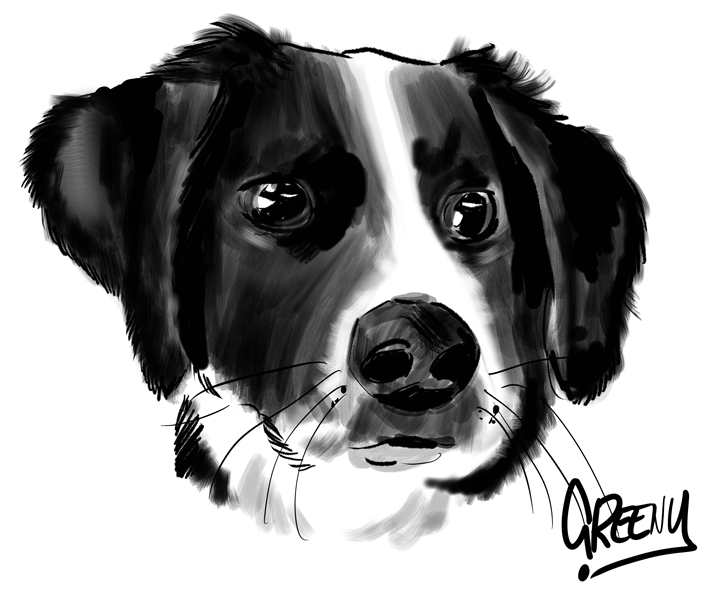 Pet portraits Gallery page-Pet Caricature Have Your Pets Drawn | Personalised Pet Portraits