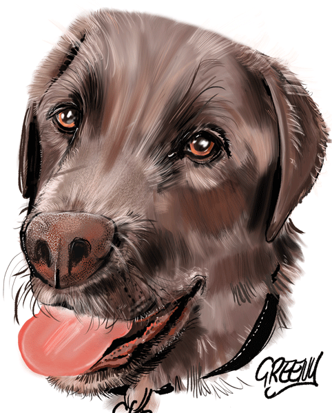 Pet portraits Gallery page-Pet Caricature Have Your Pets Drawn | Personalised Pet Portraits