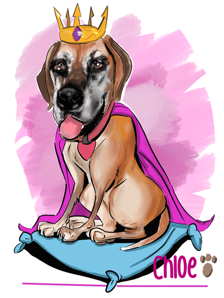 Pet Portraits Australia bring your fury friends to life with original pet drawings from photos.