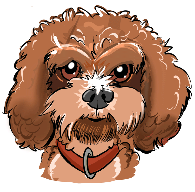 David Green is a successful Australian cartoonist, graphic designer and illustrator creating great custom designs for small business, corporate clients and social clubs. His work can be seen in books, newspapers, magazines, animation, web design, comics, branding and t-shirts.