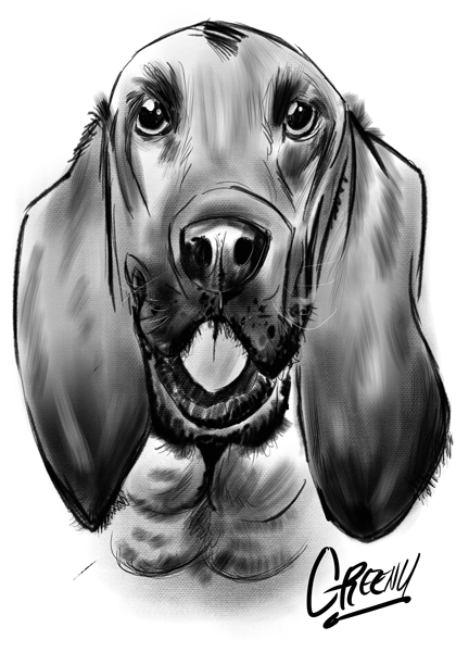 Pet Portraits Australia bring your fury friends to life with original pet drawings from photos.