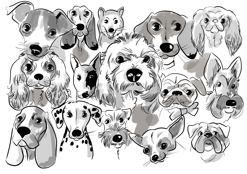 Pet Portraits Australia have you pooches drawn live at events.