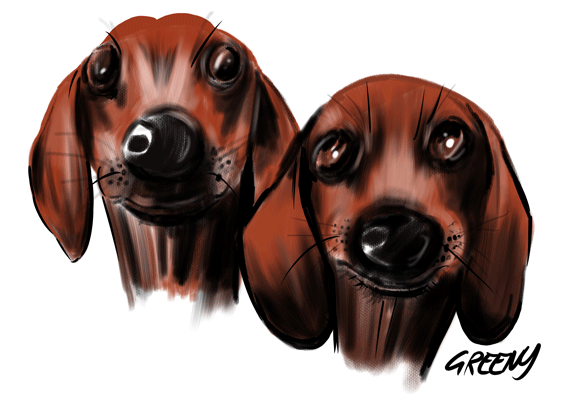 Pet Portraits Australia bring your fury friends to life with original pet drawings from photos.