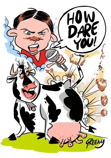Australian Cartoonist David Green Cartoon Design Studio-Web Designs-Branding-Illustration-Political-Social Clubs Businesses-Books-Blogs-Animation-Comics-T-Shirts-Caricature-graphic design