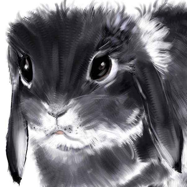 Pet Portraits Australia bring your fury friends to life with original pet drawings from photos.