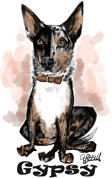 Pet portraits Gallery page-Pet Caricature Have Your Pets Drawn | Personalised Pet Portraits