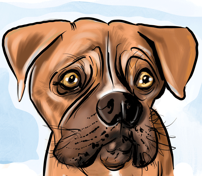 Drawing dogs at events, digital fun portraits of pooches by animal artist David Green