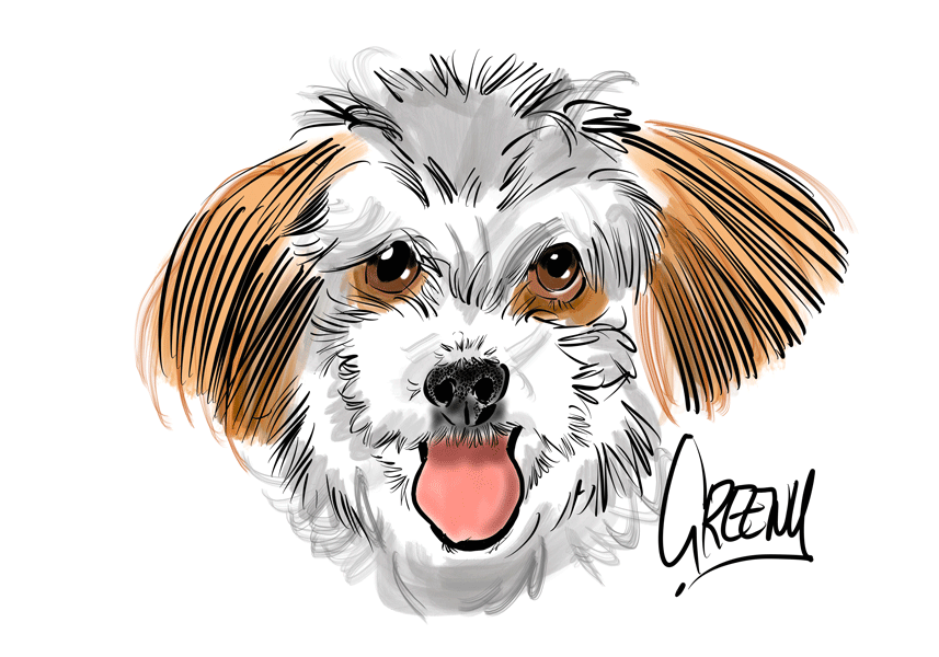 Drawing dogs at events, digital fun portraits of pooches by animal artist David Green