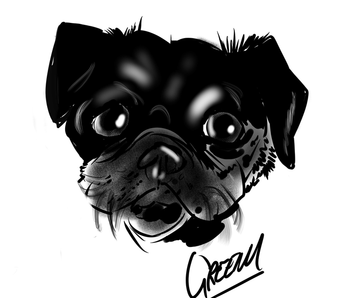 Drawing dogs at events, digital fun portraits of pooches by animal artist David Green