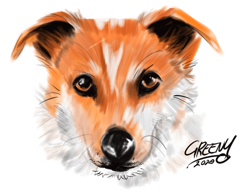 Drawing dogs at events, digital fun portraits of pooches by animal artist David Green