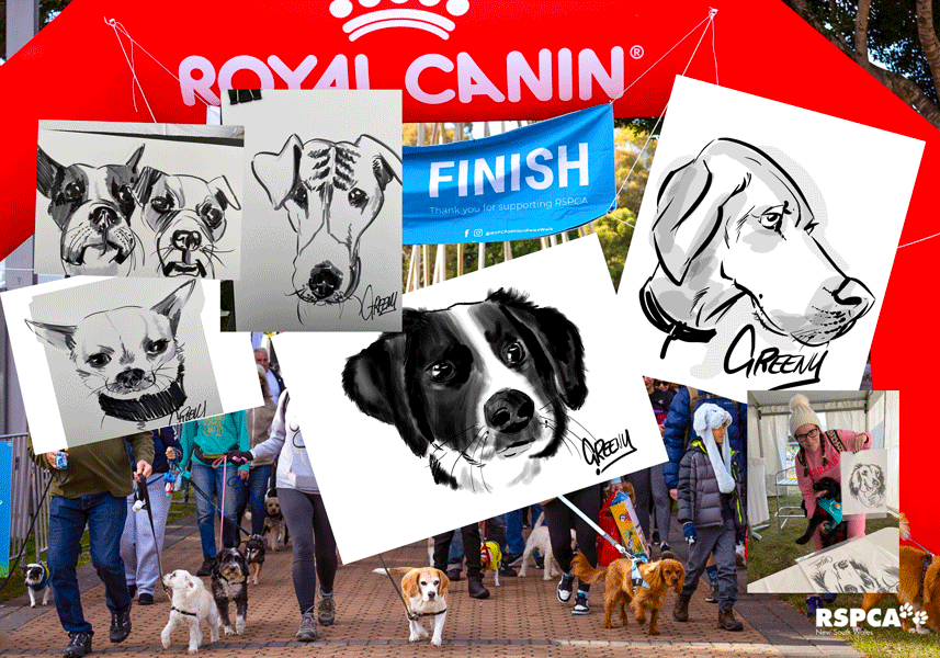 Pet portraits drawing realistic Dogs at live events.