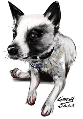 Pet Portraits Australia bring your fury friends to life with original pet drawings from photos.