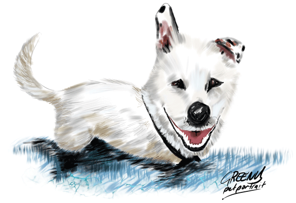 Pet Portraits Australia bring your fury friends to life with original pet drawings from photos.