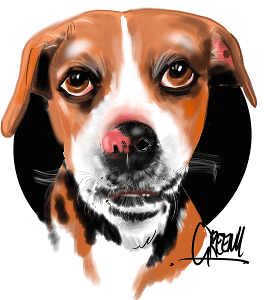 Pet portraits Gallery page-Pet Caricature Have Your Pets Drawn | Personalised Pet Portraits