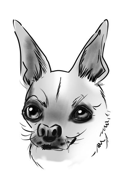 Drawing dogs at events, digital fun portraits of pooches by animal artist David Green