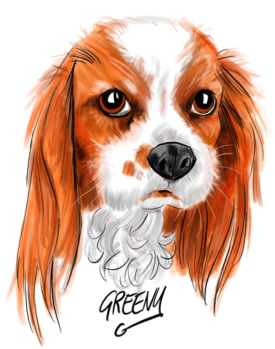 Drawing dogs at events, digital fun portraits of pooches by animal artist David Green