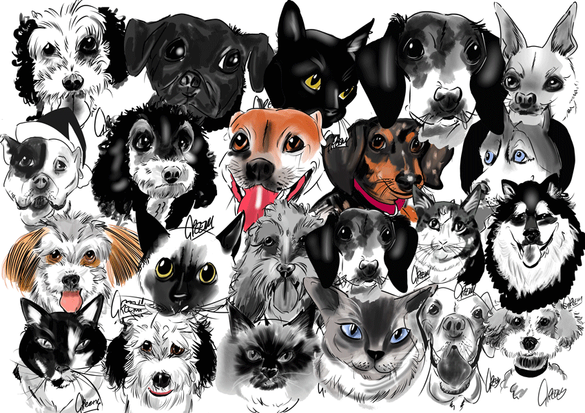 Pet Portraits Australia have you pooches drawn live at events.