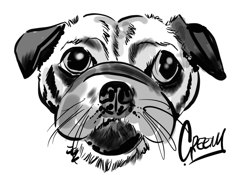 Pet portraits drawing realistic Dogs at live events.