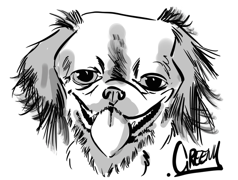 Pet portraits drawing realistic Dogs at live events.