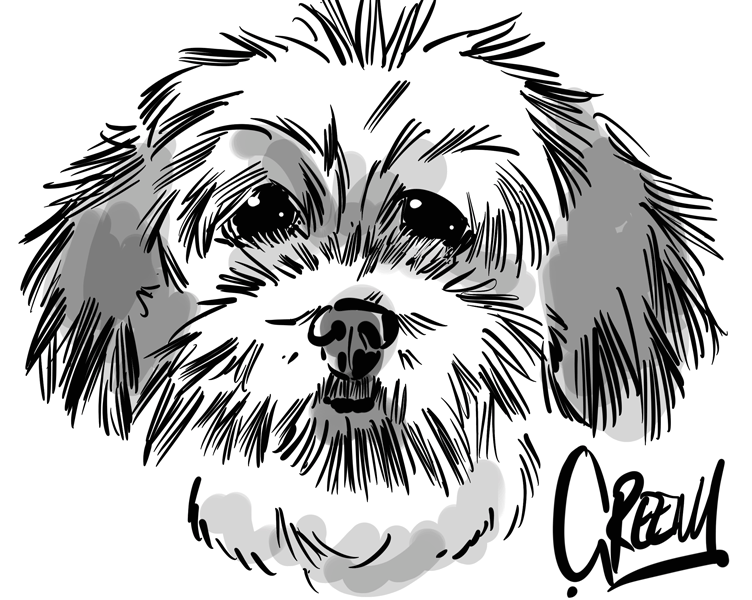 Pet portraits drawing realistic Dogs at live events.