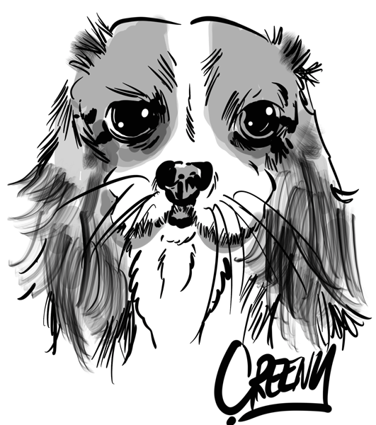 Pet portraits drawing realistic Dogs at live events.