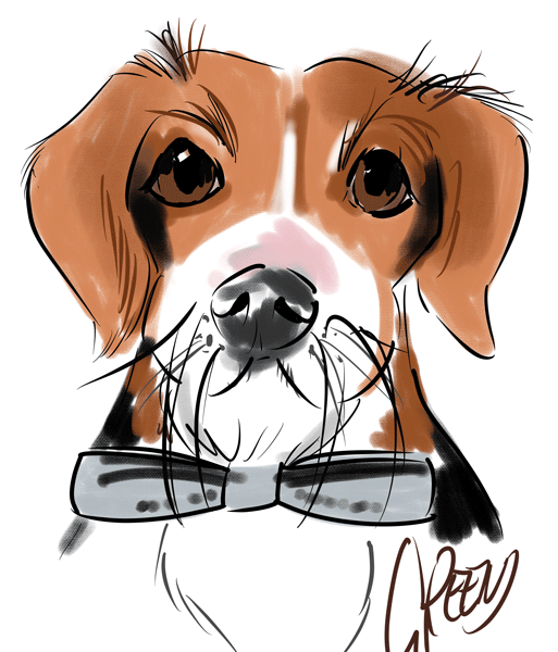 Drawing dogs at events, digital fun portraits of pooches by animal artist David Green