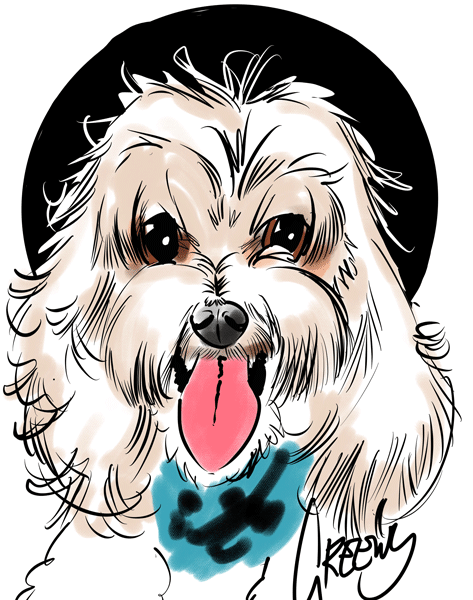 Drawing dogs at events, digital fun portraits of pooches by animal artist David Green