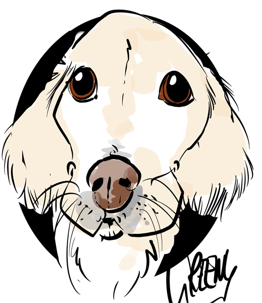 Drawing dogs at events, digital fun portraits of pooches by animal artist David Green