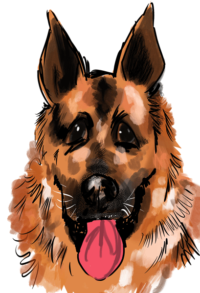 Drawing dogs at events, digital fun portraits of pooches by animal artist David Green