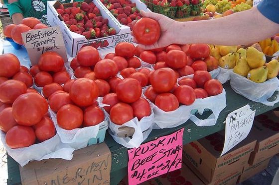 Production and sale of home grown produce and baked good