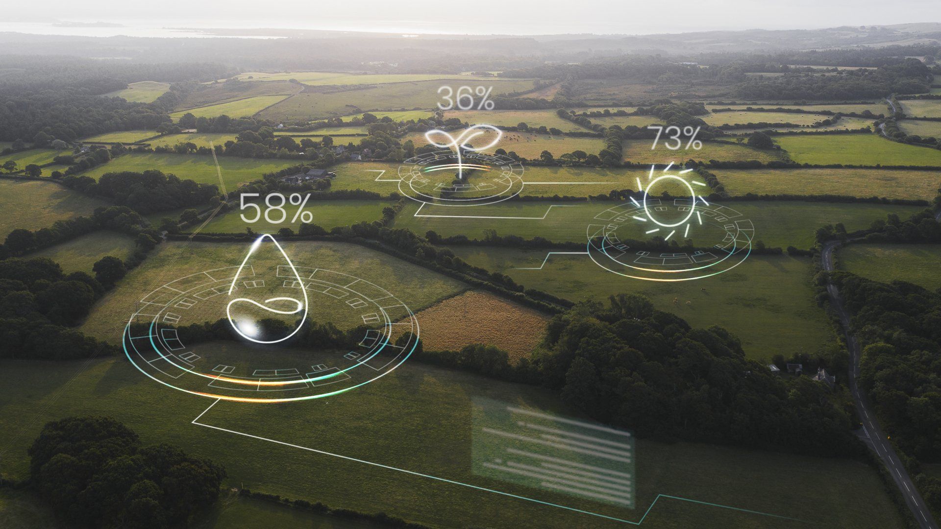 Crop Monitoring / Scouting