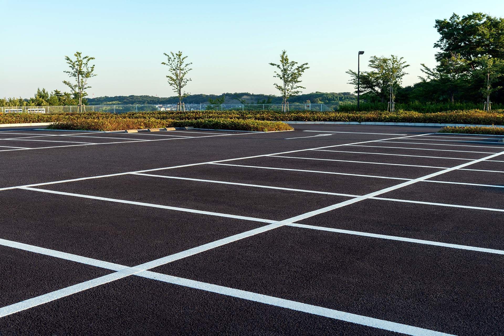 Empty asphalt parking lot with white painted lines, trees, and clear sky.